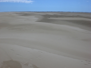 Darrere les dunes mòbils, els miratges del Delta.